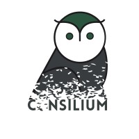 Consilium Solutions, LLC logo - Similar company to Atc Development