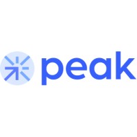 Peakpay Inc. (PEAK) logo - Similar company to Nuture Technology Services Ltd