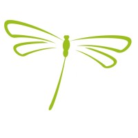 Dragonfly Consultancy & Management Ltd