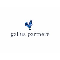 Gallus Partners logo - Similar company to Capricorn