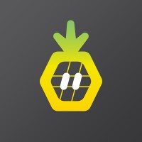 Pineapple Works logo - Similar company to Lemon&Orange