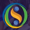 Instituto de Educação Profissional DS cursos logo - Similar company to Wizard Solutions