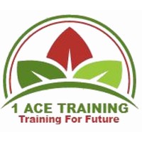 1 Ace Training logo - Similar company to 012 Global Ltd