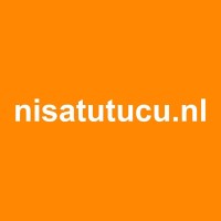 nisatutucu logo - Similar company to Rubix Creative