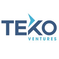 Teko Ventures logo - Similar company to Vnlife