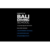 Bali Diving School logo - Similar company to Bali Bubbles Dive Center - 5* Padi Dive Center