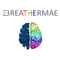 BREATHERMAE logo - Similar company to Nano Sciences Workshop