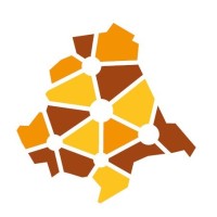 DGO: Digitale Gründerinitiative Oberpfalz logo - Similar company to Curiox