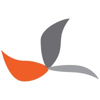 A Digital Solutions logo - Similar company to Digital Solution