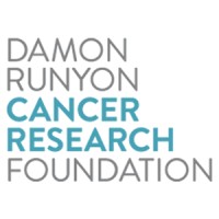 Damon Runyon Cancer Research Foundation logo - Similar company to The Mark Foundation For Cancer Research