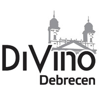 DiVino Debrecen logo - Similar company to Debrecen Business Service Centers Roundtable