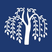Willowdale Consulting