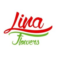 LİNA FLOWERS logo - Similar company to Natura Food