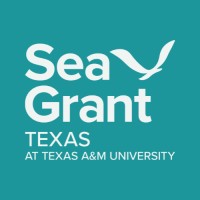 Texas Sea Grant logo - Similar company to Networks Plus