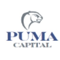 Puma Capital, LLC logo - Similar company to Dbd Partners, Llc