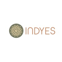 INDYES logo - Similar company to Step To Guide
