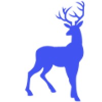 DigiFor logo - Similar company to Restomod Classic