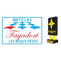 Fayadort S.A. logo - Similar company to Fygytech