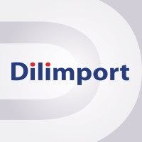 Dilimport logo - Similar company to Legopstech