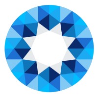 Processa Inc. logo - Similar company to Foteza Inc.