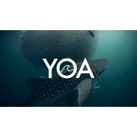 Youth Ocean Alliance logo - Similar company to Ball In Monaco - Glacier Edition
