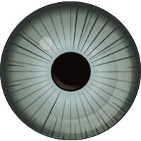 Forefront Eye Care logo - Similar company to Lentechs