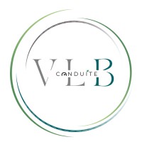 VLB Conduite logo - Similar company to Educaser