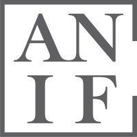 Armenian National Interests Fund logo - Similar company to Cyber Vision Development Studio