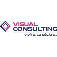 Visual Consulting logo - Similar company to Motiontrex
