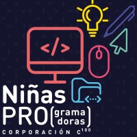 Niñas Pro logo - Similar company to Technovation Girls Chile