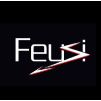 Feusi électricité SA logo - Similar company to Gp Elec
