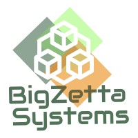 BigZetta Systems logo - Similar company to Wordfly.Ai