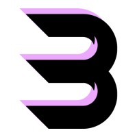 Burstock Management logo - Similar company to Vengeguard