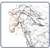 Tayssir Capital logo - Similar company to Imo