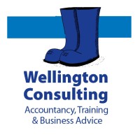 Wellington Consulting Ltd logo - Similar company to Closed