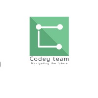 Codey Team logo - Similar company to Webstar Interaction Studios