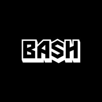 Bash logo - Similar company to Buddy Bash India
