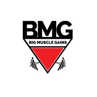 Big Muscle Gains logo - Similar company to Big Muse