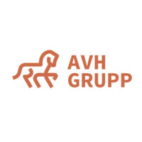 AVH Grupp AS logo - Similar company to Bestnet Group