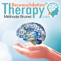 Thérapie de la Reconsolidation - Reconsolidation Therapy logo - Similar company to Institut Double Hélice