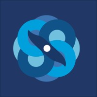 Homeland Security System logo - Similar company to Intellcorp Group