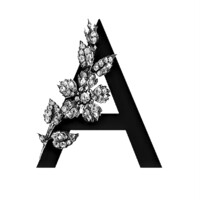 Apolodorus logo - Similar company to School Kitchen