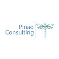 Pinao Consulting, LLC logo - Similar company to Kilderkin Group