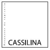 CASSILINA Tapicería logo - Similar company to Influence, Style Studio