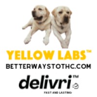 Yellow Labs Inc logo - Similar company to Mattebot