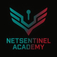 NetSentinel Academy logo - Similar company to Cyber Core