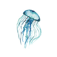 Ambrosia BioLongevity logo - Similar company to Kindredbio