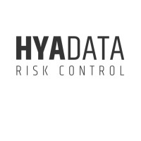 Hyazinth Consulting for Tech logo - Similar company to Hyazinth