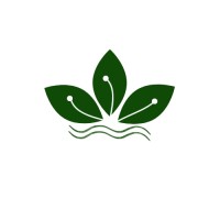 Zulfiqar Technologies logo - Similar company to Alfa Solutions