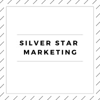 Silver Star Marketing logo - Similar company to Silver Star